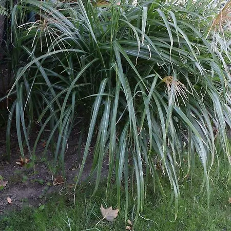 Zeitreise-ferienhaus Dom wakacyjny *