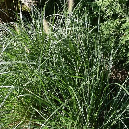 Dom wakacyjny Zeitreise-ferienhaus Baden bei Wien