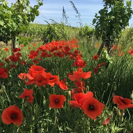 Zeitreise-ferienhaus Dom wakacyjny