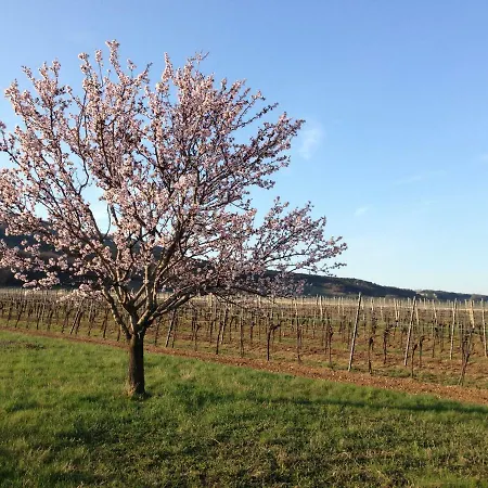 Zeitreise-ferienhaus Baden bei Wien