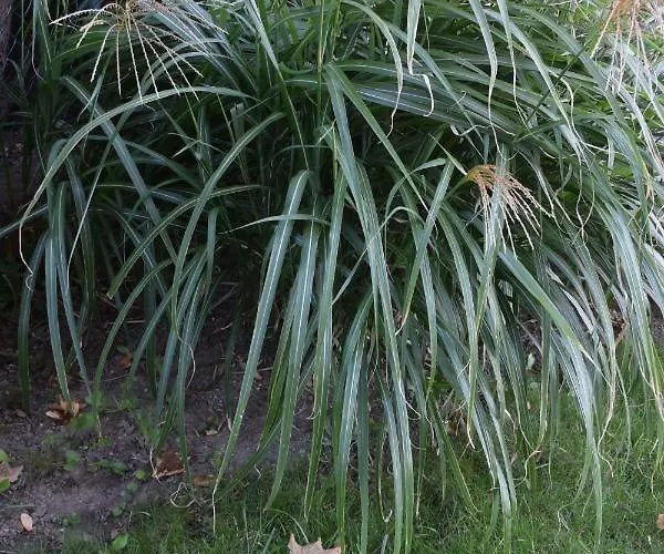 Zeitreise-ferienhaus Casa vacanze *