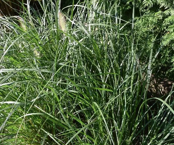 Casa vacanze Zeitreise-ferienhaus Baden bei Wien
