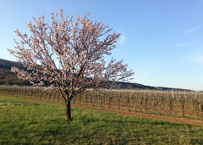 Zeitreise-ferienhaus Baden