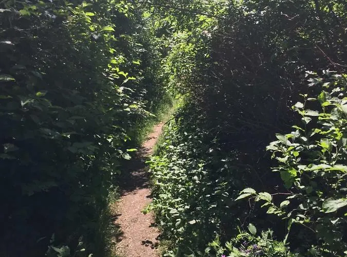 Vakantiehuis Zeitreise-ferienhaus *