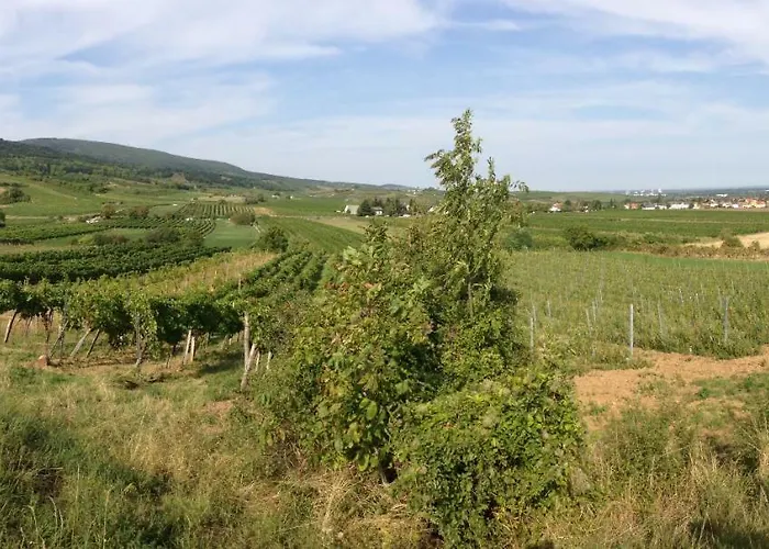 Vakantiehuis Zeitreise-ferienhaus