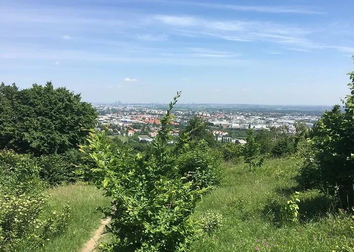 Zeitreise-ferienhaus Baden